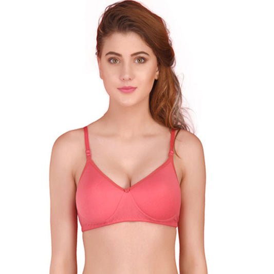 Seamless Padded T Shirt Bra Pack Of 3