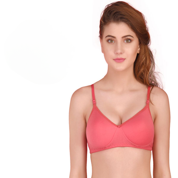 Seamless Padded T Shirt Bra Pack Of 3