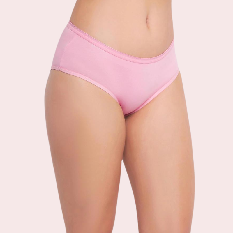 Womens Panties in Wholesale 48 Pack