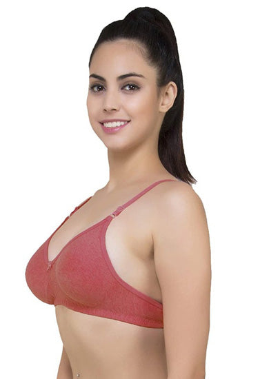 Lightly Padded Classic Comfort Bra Pack Of 2
