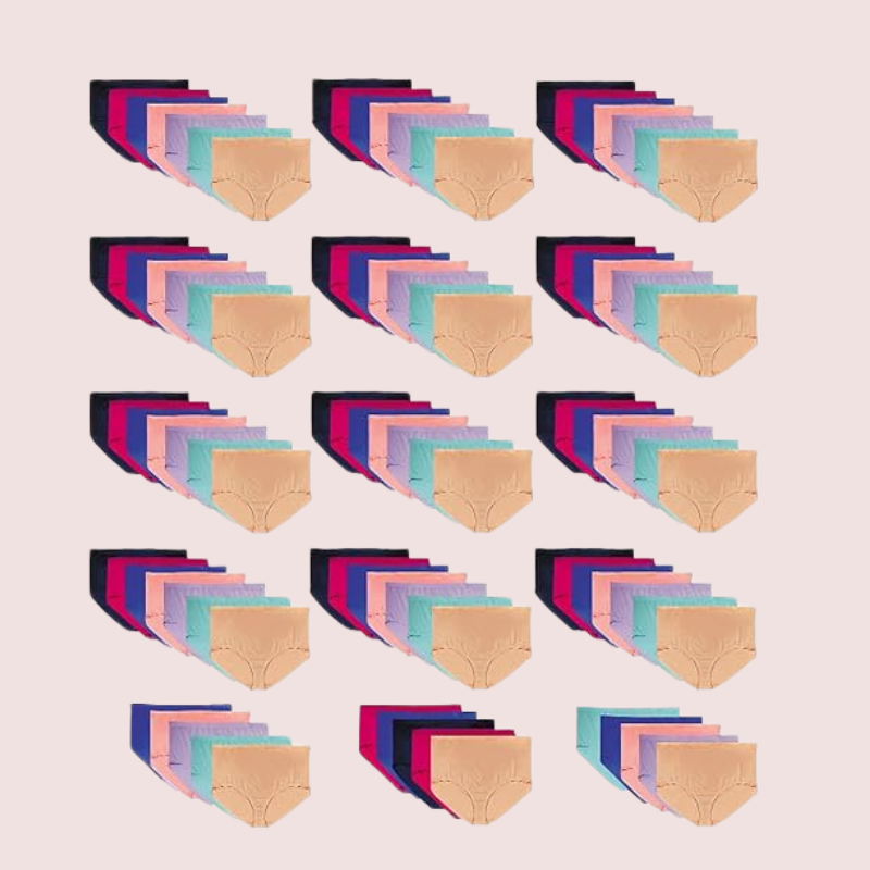 Womens Panties in Wholesale 48 Pack