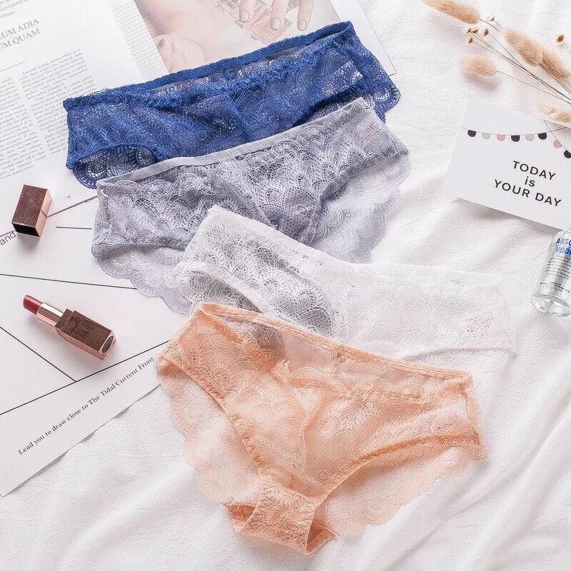 Sexy Sheer Lace Bikini Brief Undies Pack of 4