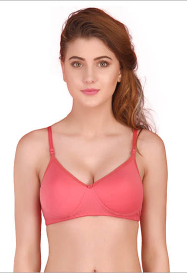 Seamless Padded T Shirt Bra Pack Of 3