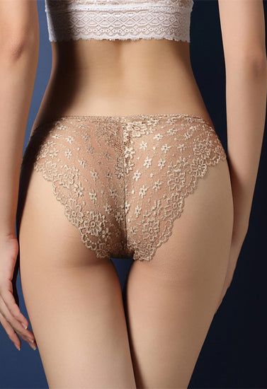 Ladies Best Transparent Lace Hipster Brief Pack Of 2