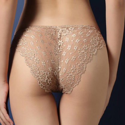 Ladies Best Transparent Lace Hipster Brief Pack Of 2